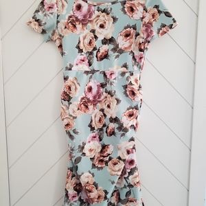 Pink Blush maternity fitted dress